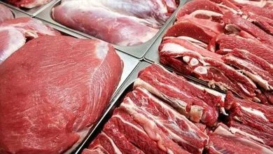 قیمت هر کیلو گوشت قرمز چند است؟ | قیمت گوشت در این شهر تا ۴۰۰