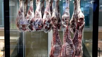 ماهیچه و آبگوشتی گوسفندی کیلویی چند شد؟ | قیمت جدید گوشت قرمز امروز ۱۱ شهریور ماهیچه و آبگوشتی گوسفندی کیلویی چند شد؟ | قیمت جدید گوشت قرمز امروز ۱۱ شهریور