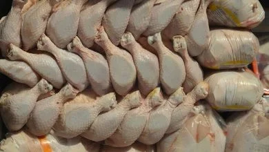 قیمت مرغ در بازار اعلام شد؛ سنگدان، بال و کتف کیلویی چند؟